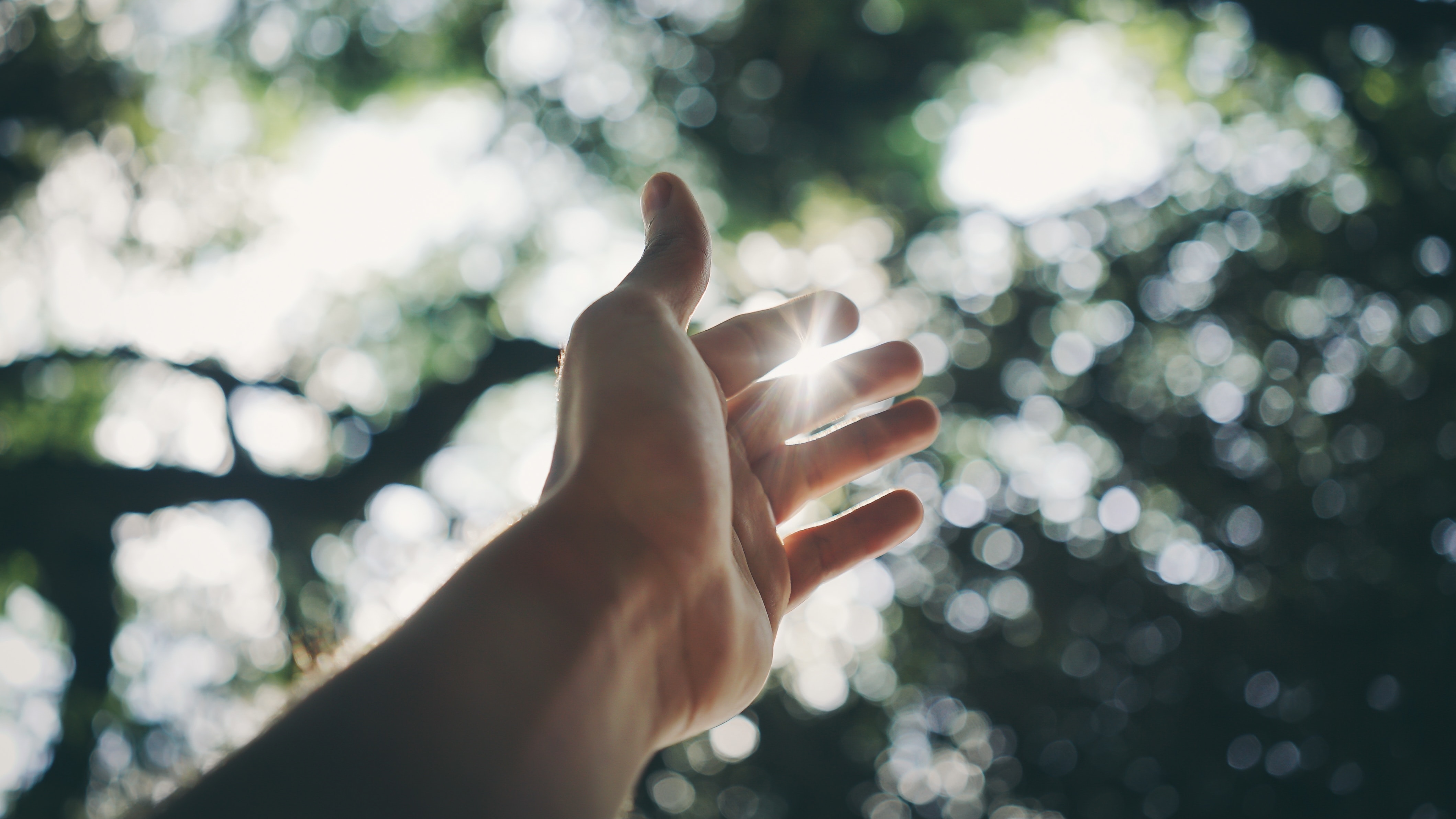 Selective Focus Photography Of Hand (photo by Ricardo Esquivel from Pexels)