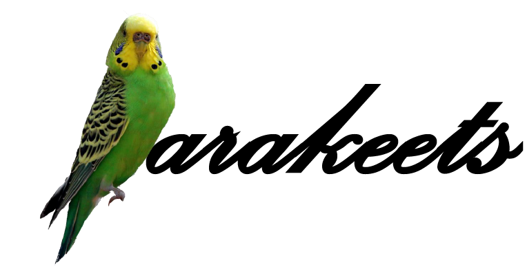 Parakeets Toastmasters