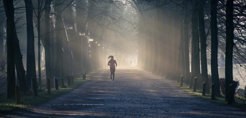 Person running near street between tall trees (photo by Philip Ackermann from Pexels)