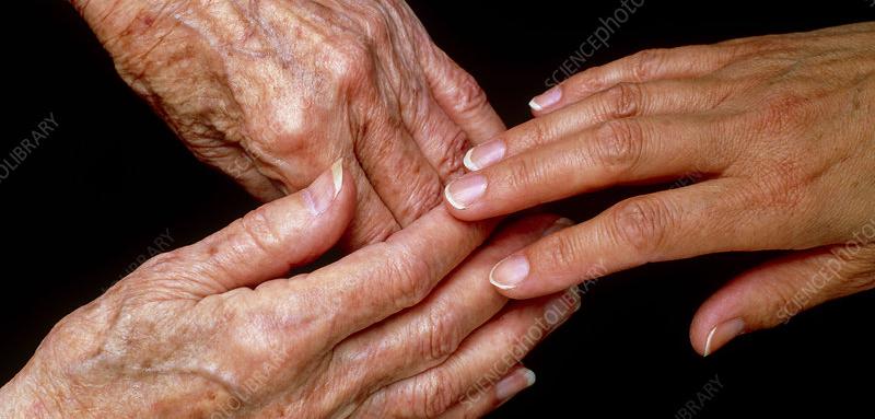 Young hand touching elderly hands